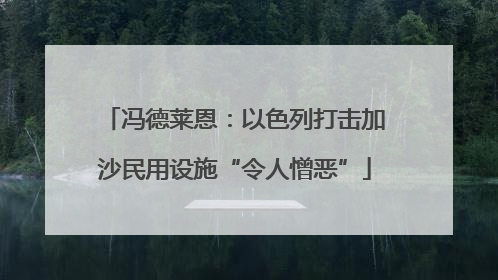 冯德莱恩：以色列打击加沙民用设施“令人憎恶”